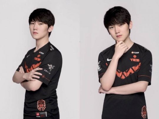 布的一条动 布的一条动