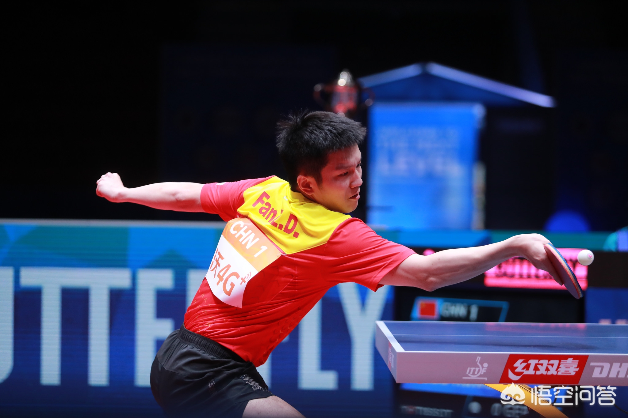 这项运动独 这项运动独