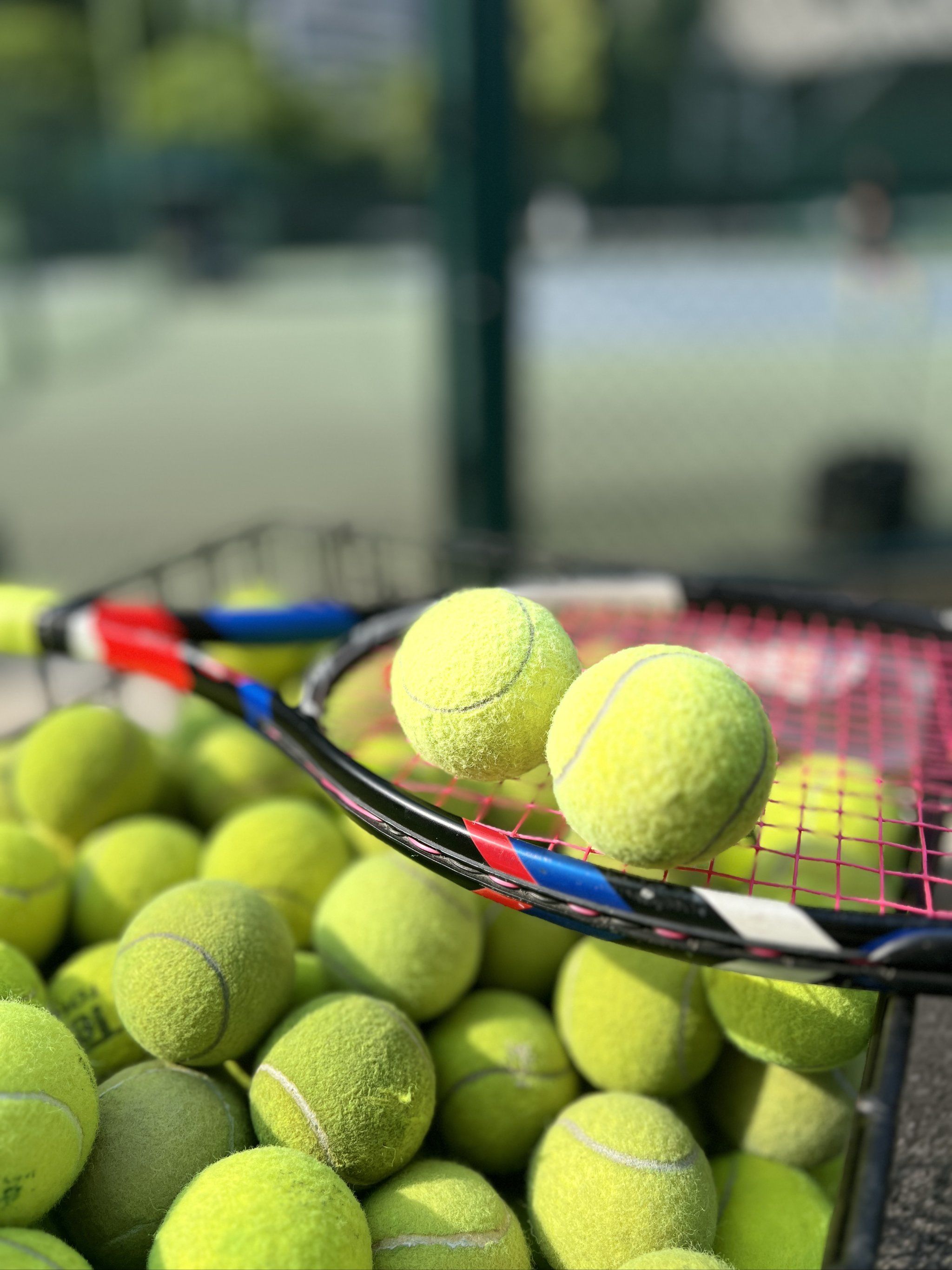 化价值与经 化价值与经